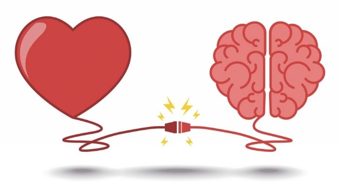 HeartMath: Las interacciones del cerebro y el corazón